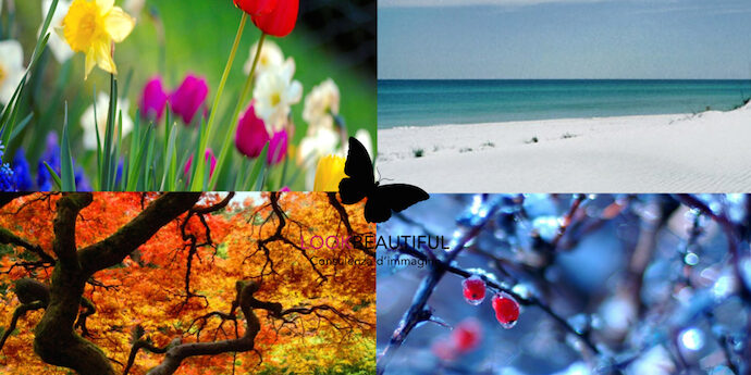 stagioni 690×450 colorimetria-coloriamici-testcromatico-estate-primavera-autunno-inverno